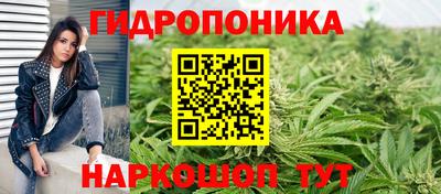 прущая мука Будённовск