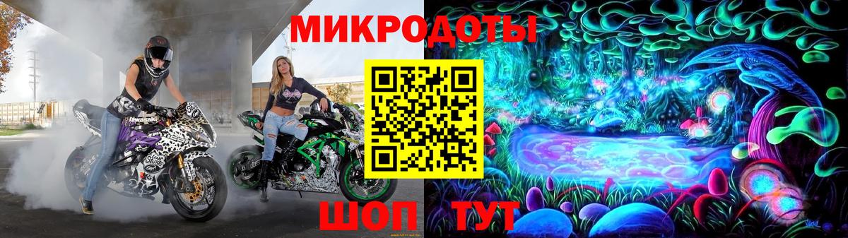 Галлюциногенные грибы Cubensis Новороссийск