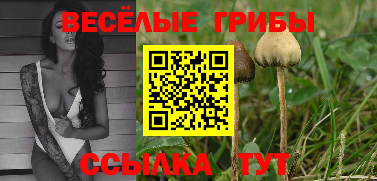 MDMA Новороссийск