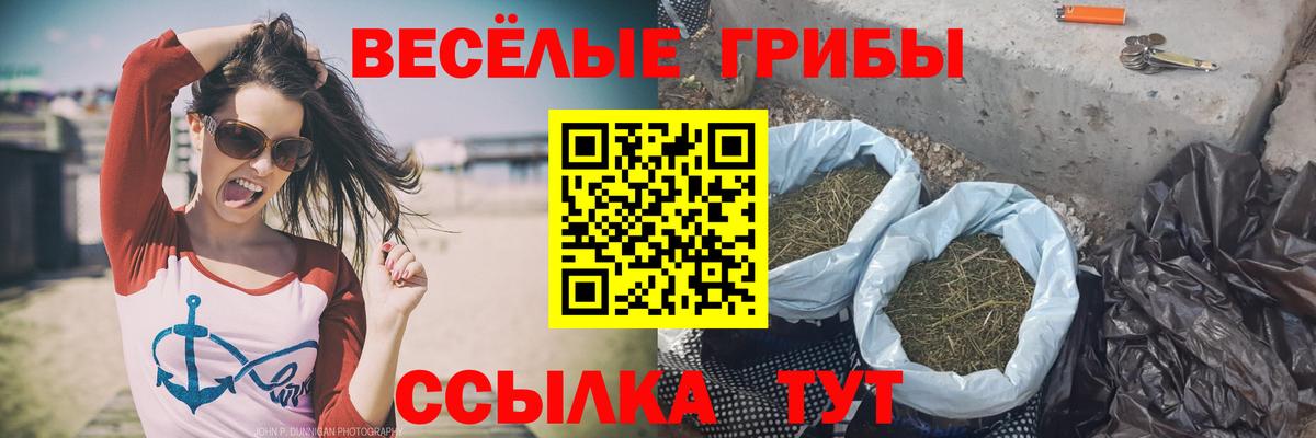 Псилоцибиновые грибы ЛСД  Вход с VPN  Новороссийск 