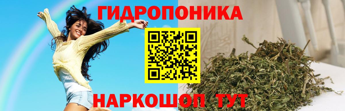 Марихуана план Новороссийск
